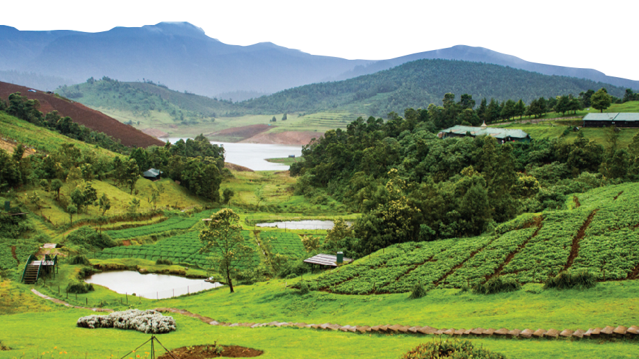 BROUCHER-FINAL-02-ai-41-copy