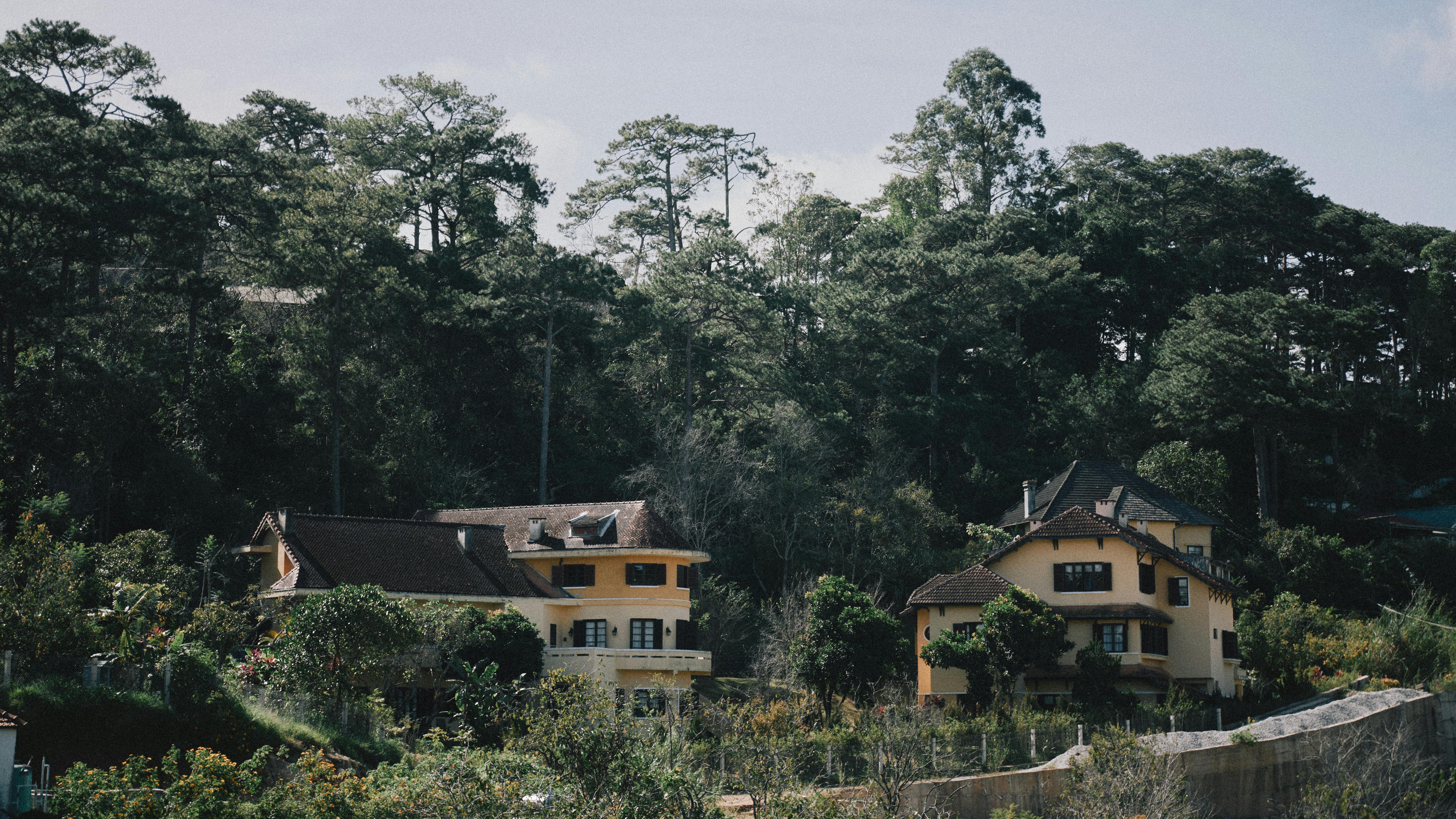 pexels-hoinommm-19246176